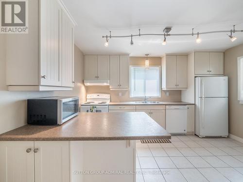 598 Brigadoon Drive, Hamilton (Gourley), ON - Indoor Photo Showing Kitchen With Double Sink