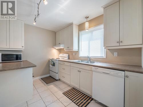 598 Brigadoon Drive, Hamilton (Gourley), ON - Indoor Photo Showing Kitchen With Double Sink