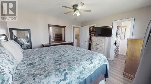 9024 114 Avenue, Fort St. John, BC - Indoor Photo Showing Bedroom