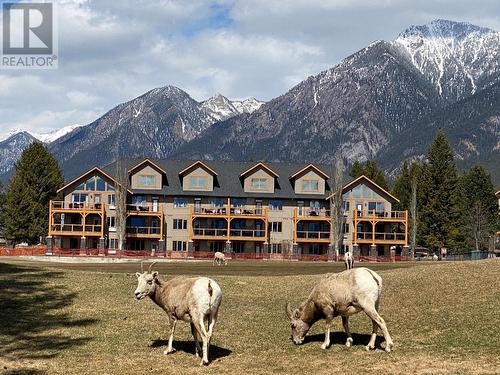 200 Bighorn Boulevard Unit# 234C, Radium Hot Springs, BC - Outdoor