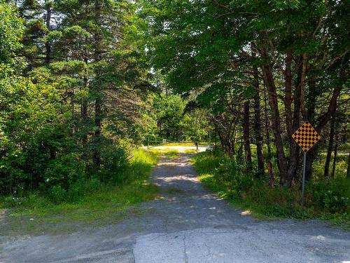 70 Acres Bayers Mill Road, Musquodoboit Harbour, NS 