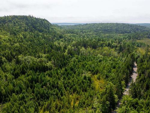 70 Acres Bayers Mill Road, Musquodoboit Harbour, NS 