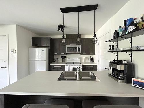 Cuisine - 102-130 Rue Des Aubépines, Vaudreuil-Dorion, QC - Indoor Photo Showing Kitchen With Double Sink