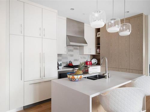 205-1201 Fort St, Victoria, BC - Indoor Photo Showing Kitchen With Double Sink With Upgraded Kitchen