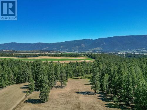 4420 Schubert Road, Spallumcheen, BC - Outdoor With View