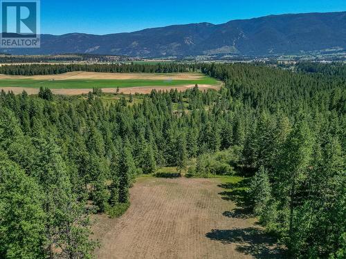 4420 Schubert Road, Spallumcheen, BC - Outdoor With View