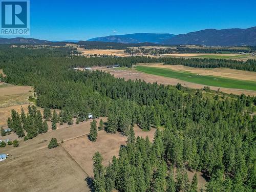 4420 Schubert Road, Spallumcheen, BC - Outdoor With View