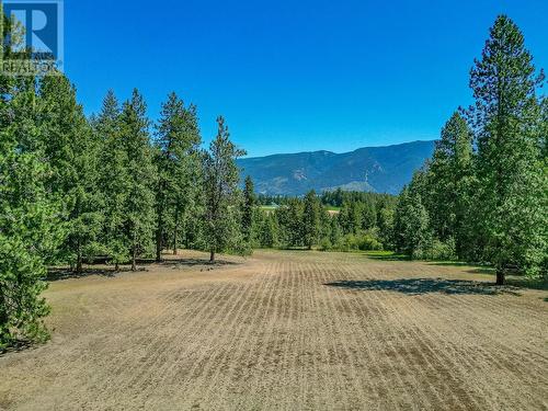 4420 Schubert Road, Spallumcheen, BC - Outdoor With View