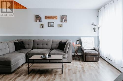 20 Rowsell Boulevard, Gander, NL - Indoor Photo Showing Living Room