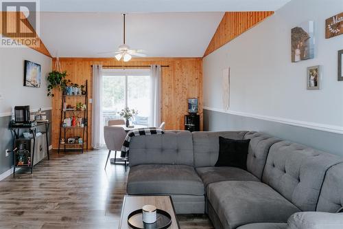 20 Rowsell Boulevard, Gander, NL - Indoor Photo Showing Living Room