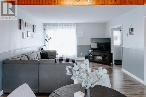 20 Rowsell Boulevard, Gander, NL - Indoor Photo Showing Living Room