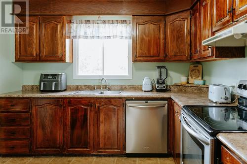 20 Rowsell Boulevard, Gander, NL - Indoor Photo Showing Kitchen