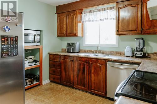 20 Rowsell Boulevard, Gander, NL - Indoor Photo Showing Kitchen