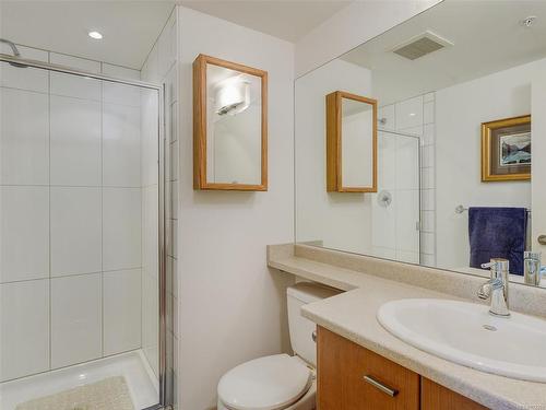 508-751 Fairfield Rd, Victoria, BC - Indoor Photo Showing Bathroom