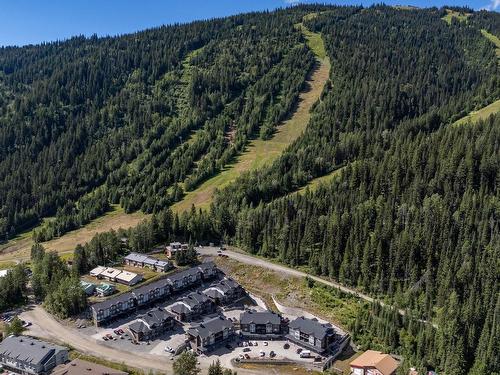 43-1240 Alpine Road, Sun Peaks, BC - Outdoor With View