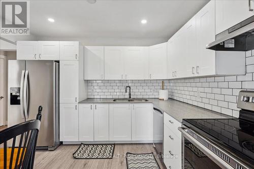 219 Rodgers Road, Hamilton (Bartonville), ON - Indoor Photo Showing Kitchen With Double Sink