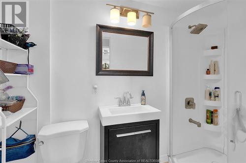 732 Vanier Street, Windsor, ON - Indoor Photo Showing Bathroom