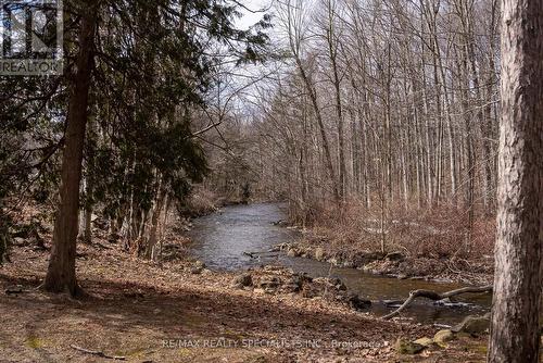 8546 Appleby Line, Milton (Nassagaweya), ON - Outdoor With View