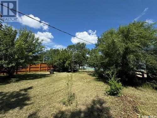 311 7Th Avenue E, Biggar, SK - Outdoor