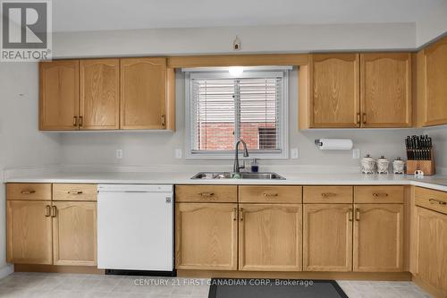 250 White Sands Drive, London, ON - Indoor Photo Showing Kitchen With Double Sink