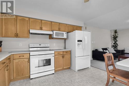 250 White Sands Drive, London, ON - Indoor Photo Showing Kitchen