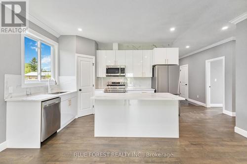 22909 Highbury Avenue, Middlesex Centre (Bryanston), ON - Indoor Photo Showing Kitchen With Stainless Steel Kitchen With Upgraded Kitchen