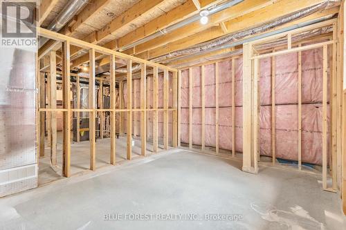 22909 Highbury Avenue, Middlesex Centre (Bryanston), ON - Indoor Photo Showing Basement