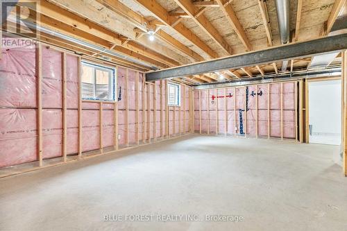 22909 Highbury Avenue, Middlesex Centre (Bryanston), ON - Indoor Photo Showing Basement