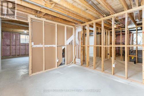 22909 Highbury Avenue, Middlesex Centre (Bryanston), ON - Indoor Photo Showing Basement