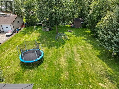 39 Greenwood Crescent, Kawartha Lakes, ON - Outdoor With Backyard