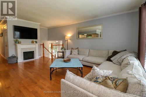 39 Greenwood Crescent, Kawartha Lakes, ON - Indoor Photo Showing Living Room With Fireplace