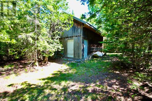 82 Mcivor Drive, Northern Bruce Peninsula, ON - Outdoor