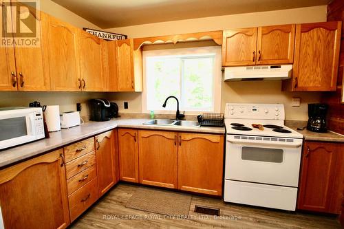 82 Mcivor Drive, Northern Bruce Peninsula, ON - Indoor Photo Showing Kitchen With Double Sink