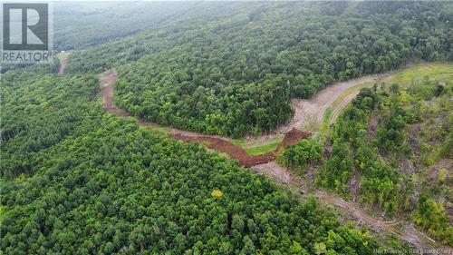 Lot 18 Crabbe Mountain, Central Hainesville, NB 