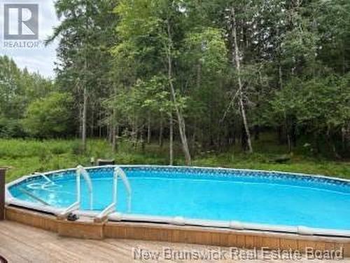 422 Darlings Island Road, Darlings Island, NB - Outdoor With Above Ground Pool