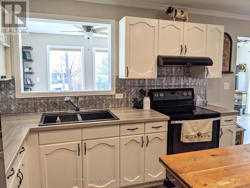 21 Pleasure Street, Kawartha Lakes (Cameron), ON - Indoor Photo Showing Kitchen With Double Sink