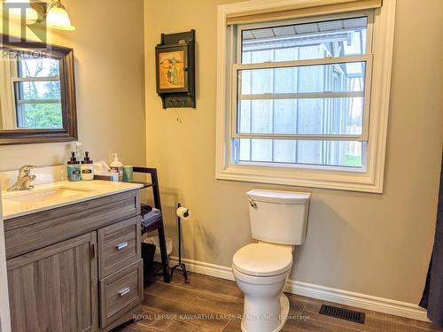 21 Pleasure Street, Kawartha Lakes (Cameron), ON - Indoor Photo Showing Bathroom