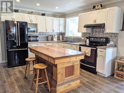 21 Pleasure Street, Kawartha Lakes (Cameron), ON - Indoor Photo Showing Kitchen With Double Sink