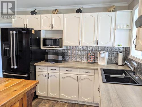 21 Pleasure Street, Kawartha Lakes (Cameron), ON - Indoor Photo Showing Kitchen With Double Sink