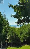 Lake View from the Pergola - 