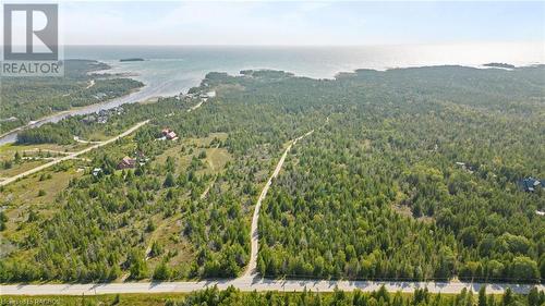 Overhead view.  The line in the middle of the photo is the driveway.  Talk about privacy! - 579 Cape Hurd Road, Tobermory, ON - Outdoor With View