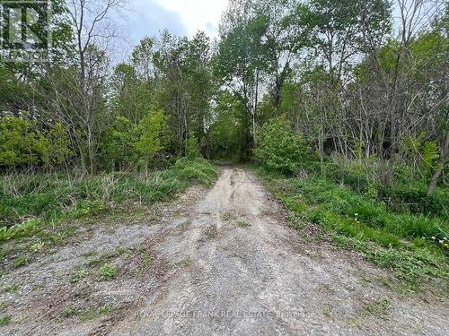 . Rutherford Road, Alnwick/Haldimand (Grafton), ON 