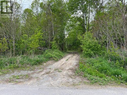 . Rutherford Road, Alnwick/Haldimand (Grafton), ON 