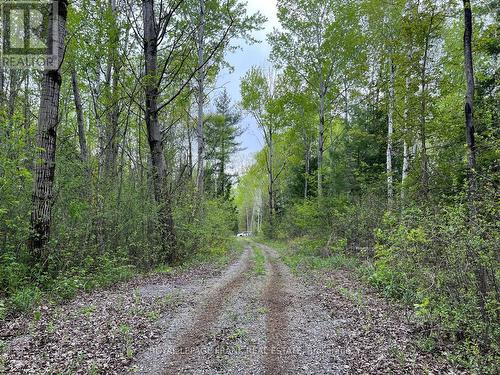 . Rutherford Road, Alnwick/Haldimand (Grafton), ON 