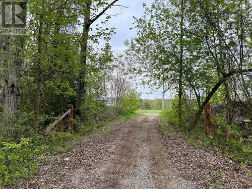 . Rutherford Road, Alnwick/Haldimand (Grafton), ON 