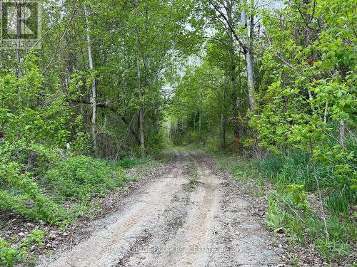 . Rutherford Road, Alnwick/Haldimand (Grafton), ON 