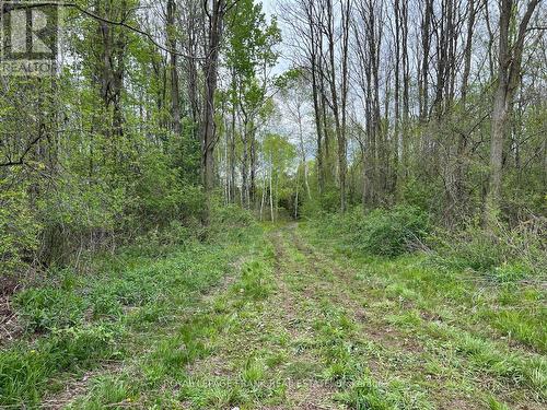 . Rutherford Road, Alnwick/Haldimand (Grafton), ON 