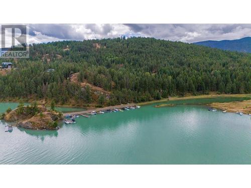 9833 Osprey Landing Drive, Wardner, BC - Outdoor With Body Of Water With View