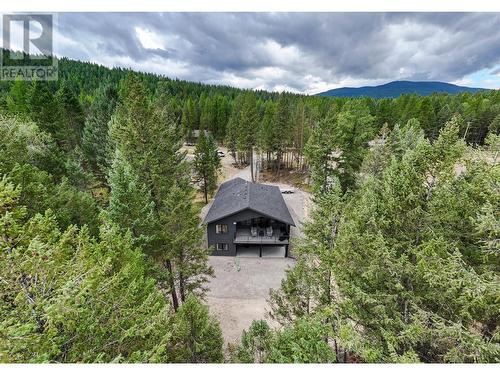 9833 Osprey Landing Drive, Wardner, BC - Outdoor With View