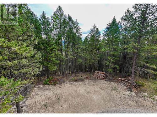 9833 Osprey Landing Drive, Wardner, BC - Outdoor